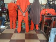 Kindia : quatre femmes condamnées à 19 mois de prison, un cinquième prévenu relaxé