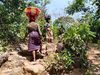 Kindia, Mont Gangan : vivre au sommet de l’isolement et de la précarité.