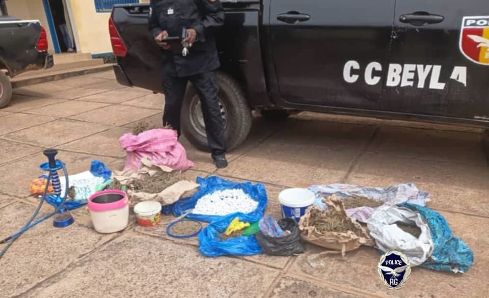 12 suspects interpellés lors d’une opération antidrogue