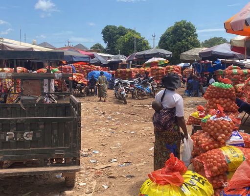 Kankan : le prix du sac d’oignons grimpe à 340 000 GNF, les commerçants dénoncent les difficultés de dédouanement À Kankan, le sac d’oignons atteint 340 000 GNF. Les importateurs dénoncent les difficultés de dédouanement au port de Conakry.