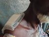 Siguiri : six personnes blessées par balle dans un affrontement entre deux hameaux