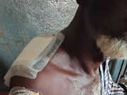 Siguiri : six personnes blessées par balle dans un affrontement entre deux hameaux