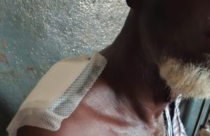 Siguiri : six personnes blessées par balle dans un affrontement entre deux hameaux